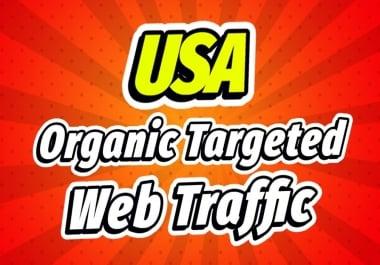 drive USA organic web traffic real visitors
