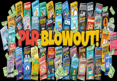 Making Money Online PLR Ebook PACK