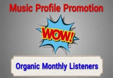Get Instant High Quality USA Monthly Listeners For Your Music Profile