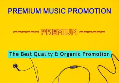 Promote Manually Music Promotion