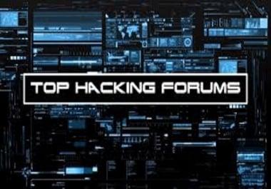 I WILL test your website if it is ddos vulnerable,  also can ddos for you