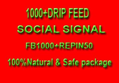 1000+ High quality Drip Feed Social Signal
