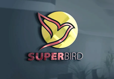 Logo design for your business and company