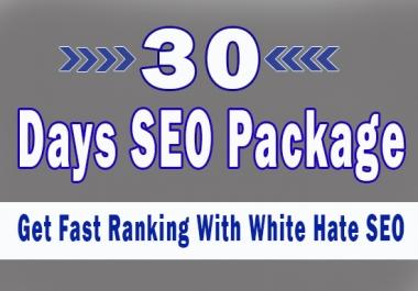 White Hate SEO package For 30 days with Daily Link building with PBN Web.2.0 Backlinks & Many More