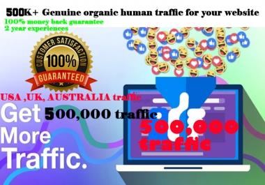 i will drive 500,000 real and organic web traffic to your website and blog