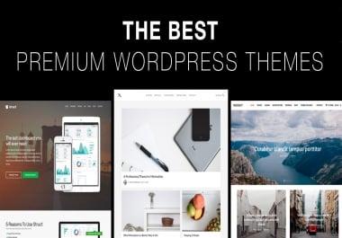 I will install wordpress premium theme