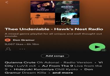 Place Your Song on Hawk's Nest Radio Promote Your Music