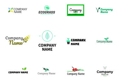 Professional High Quality Custom Logo or Brand Design and Creation Personalized Fast Turnaround