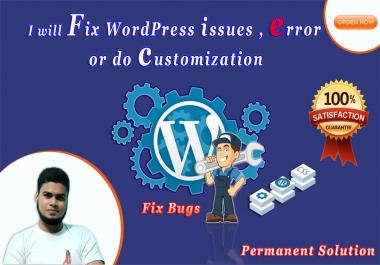 I will fix WordPress issues,  error or do customization
