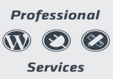 WordPress Website Development with The 7 Theme