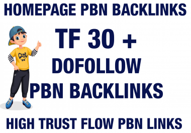 I will Provide 30 Homepage PBN TF 30 Plus PBN Backlinks
