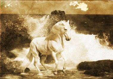 I can age your photographs to black and white or sepia