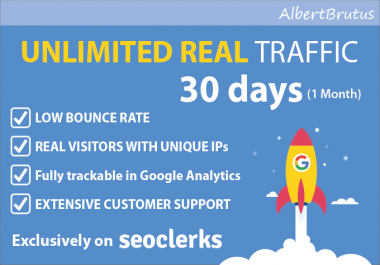 Drive real niche targeted web traffic to your website for 1 month