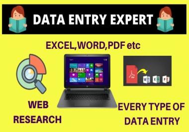 I will do fast data entry,  excel data cleaning