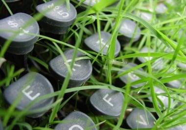 1000 or more directory submision