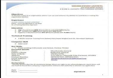 Resume,  Curriculum Vitae,  Bio Data etc maker