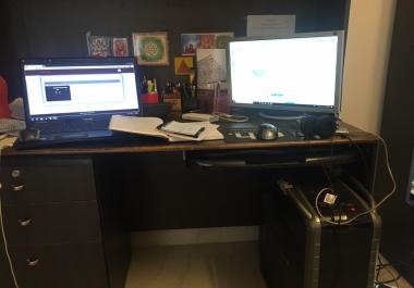 Translation of text in Hindi or vice versa.