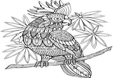 60 Animal Coloring Pages for Adults with Resell Right