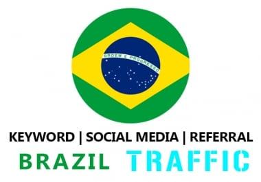 Send Brazil Organic Keyword,  Social Media,  Referral Traffic
