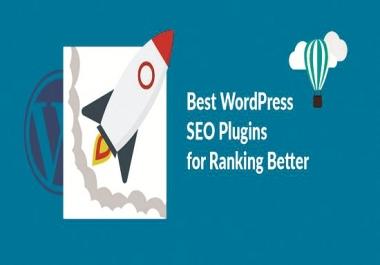 I Will Setup Perfect SEO 8 Plugins For Skyrocket Your Wordpress Site Improve Ranking And Traffic