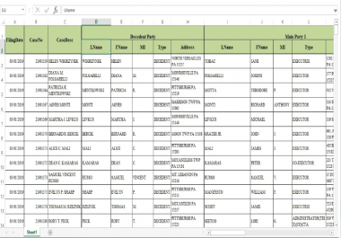 provide fast data entry services