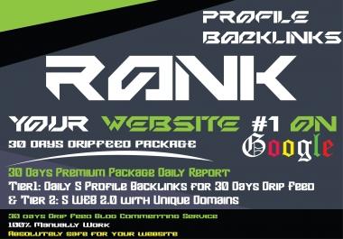 30 days drip feed seo link building Profile Backlinks service