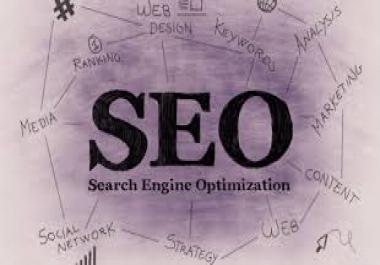 White Hat SEO Expert SEO Analyst Wordpress