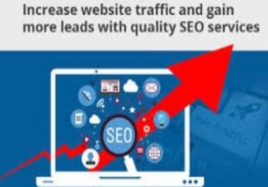 I Provide You 2500 Web Traffic from USA Direct Visit With Referrer