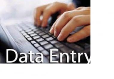 Data Entry,  Virtual Assistant and PDF Conversion
