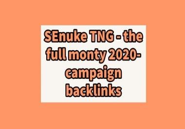 Get 25 You SEnuke TNG - The Full Monty 2020- Campaign