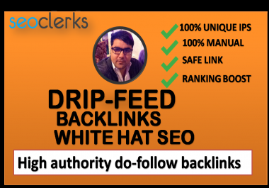 I will build high quality Drip Feed Backlinks White Hat seo