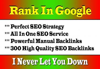 Google No 1 Ranking SEO Services With our incredible 303+ High Authority SEO Backlinks
