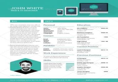 I will provide a professional resume writing service