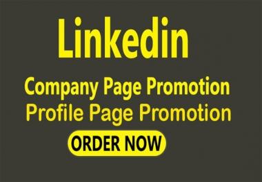 I will do linkedin promotion for your company page or profile page