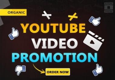I will do youtube video promotion and grow organic traffic