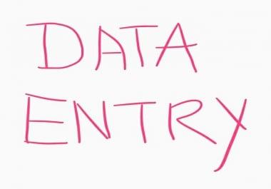 Highly capable and meticulous Data Entry Operator with an excellent record of accuracy and client sa