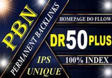 I will do 10 Pbn DR 50+ High quality backlinks