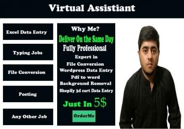 I will do bulk of data entry,  typing,  or copy paste work in 1 hour