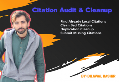 I will Make Citations Audit and Remove Duplicate Citations