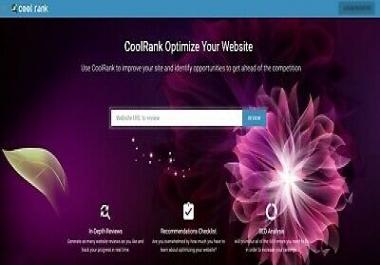 Domain & Website Analysis Script