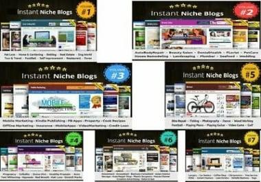 Complete Instant Niche PLR Wordpress Blogs Package Vol 1 to 7 70 Turnkey Blogs