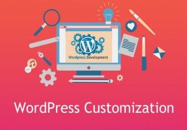 I can do any wordpress theme customization for entire site