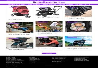 I will create a professionally designed blog website for you.