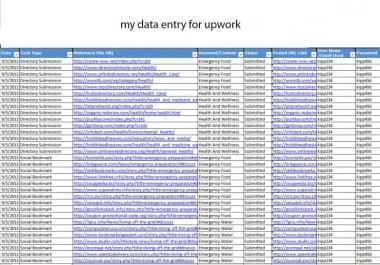 I will do data entry work with perfectly and accuracy