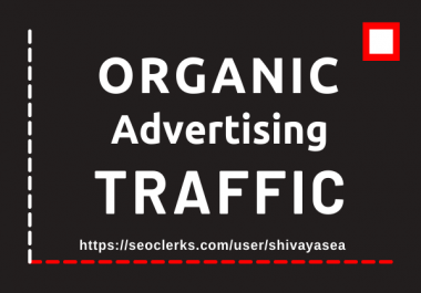 Let's drive super professional niche targeted organic advertising web traffic