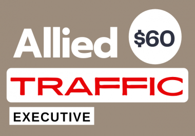 Allied 2,000 real potential niche targeted web traffic service