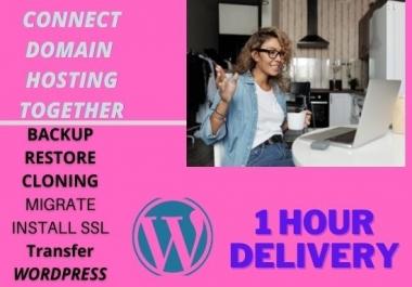I will duplicate, redesign wordpress website in 30 minutes