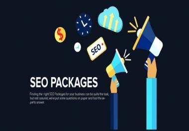 I Will Provide You manual SEO link building package