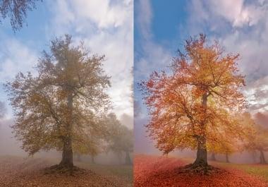 editing landscape photos with profesionl tips