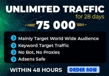 send 75000 real human keyword target website traffic or visitors to your blogs